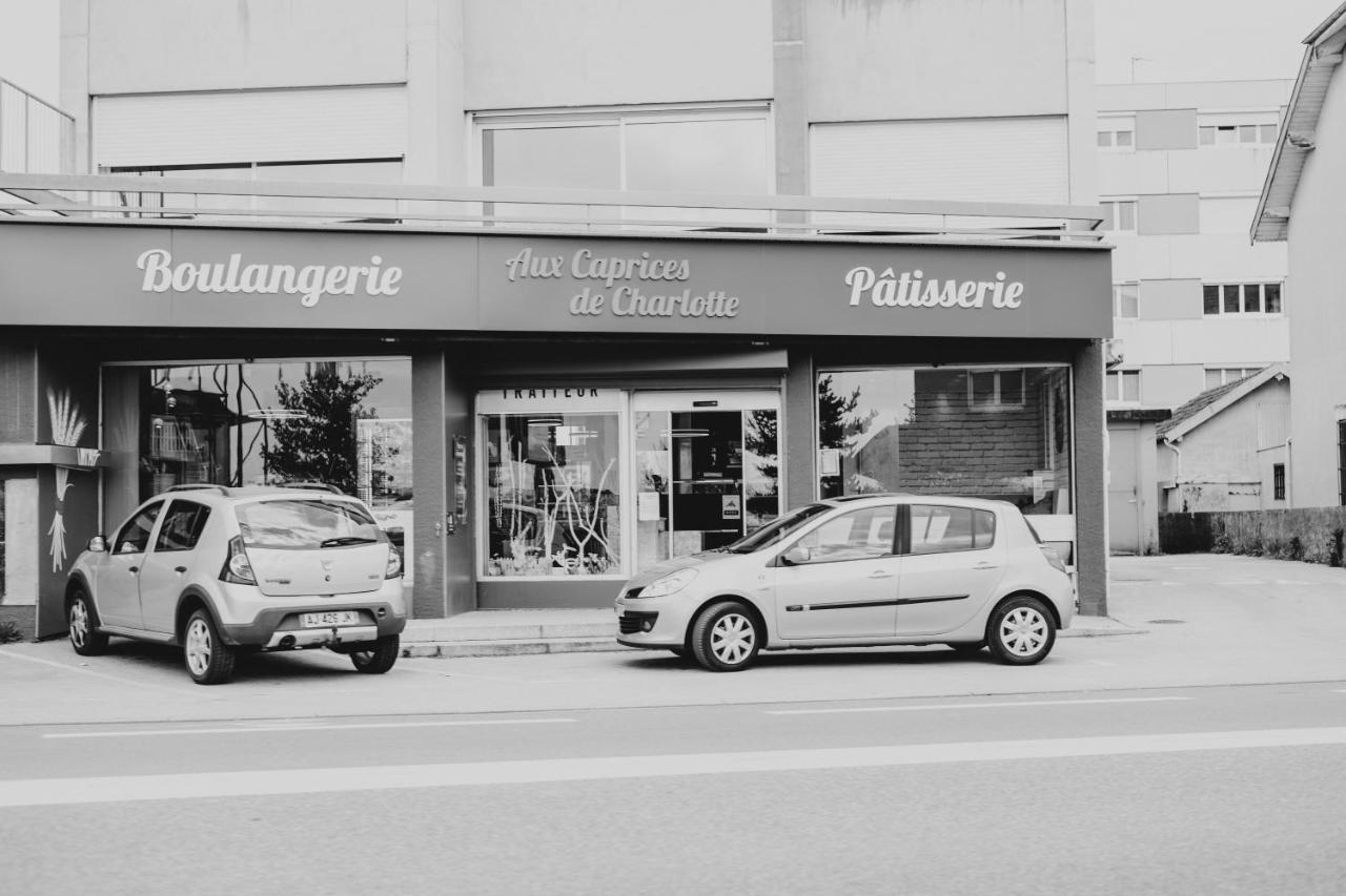Franc-Bisontin - Unique ! 4 Logements Disponibles Besancon Luaran gambar